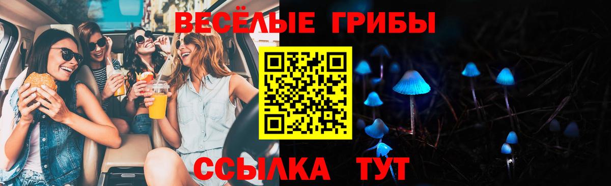 Псилоцибиновые грибы мицелий Новозыбков